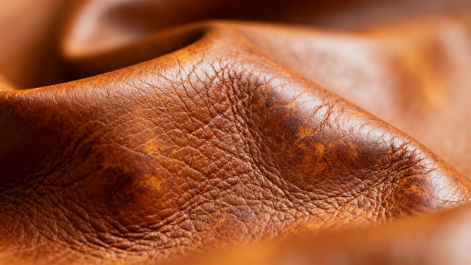 Full-grain leather texture close-up